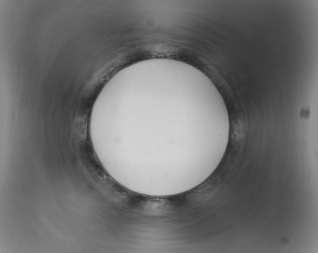 X0000113960666200910232030