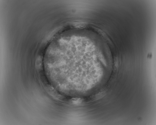 X0000113960667200910232030