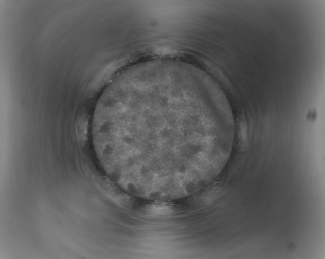 X0000113960668200910232030