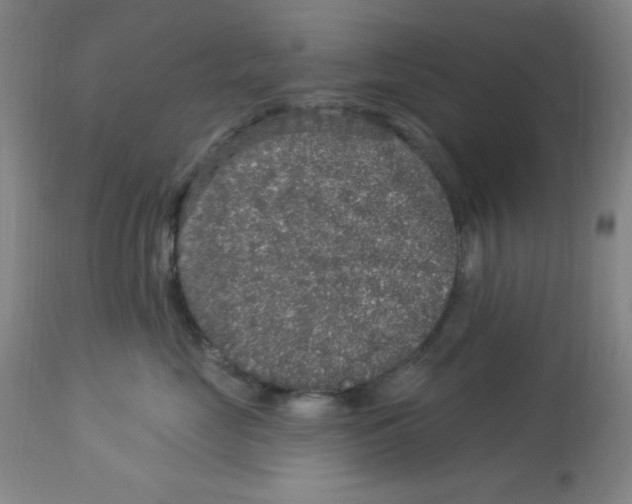 X0000113960669200910232030