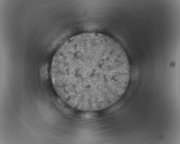 X0000113960670200910232030