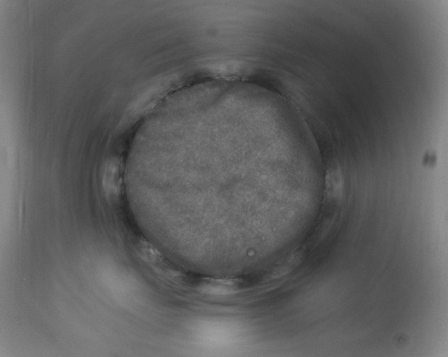 X0000113960671200910232030