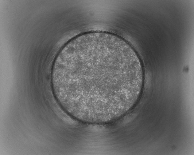 X0000113960673200910232029