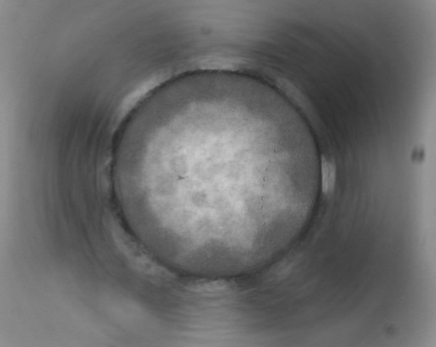 X0000113960675200910232029