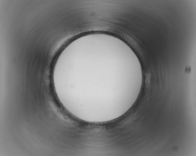 X0000113960676200910232029