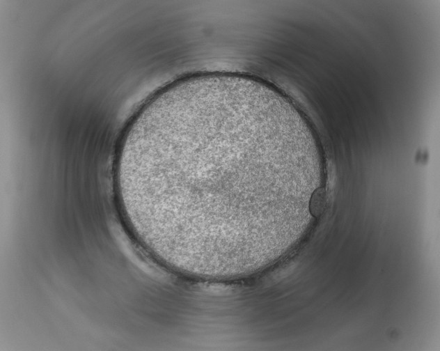 X0000113960677200910232029