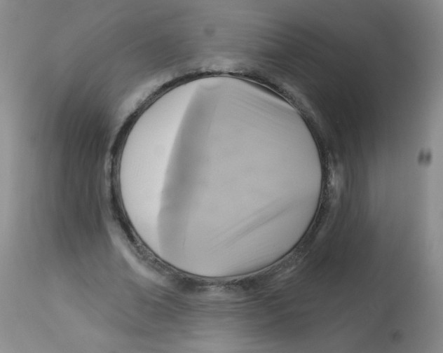 X0000113960678200910232029