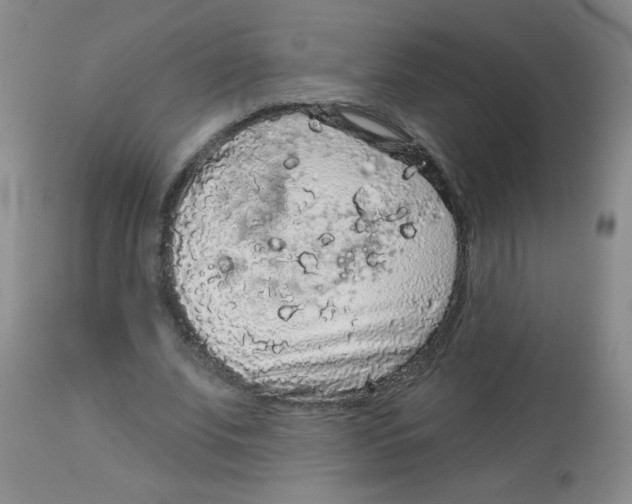 X0000113960679200910232029