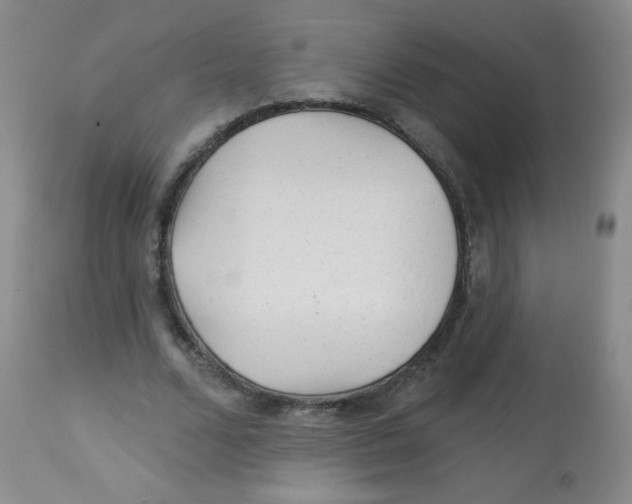 X0000113960680200910232029