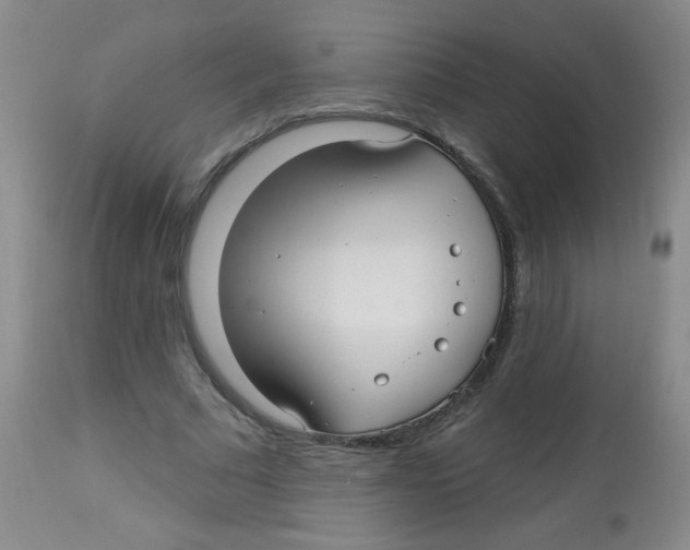 X0000113960681200910232029