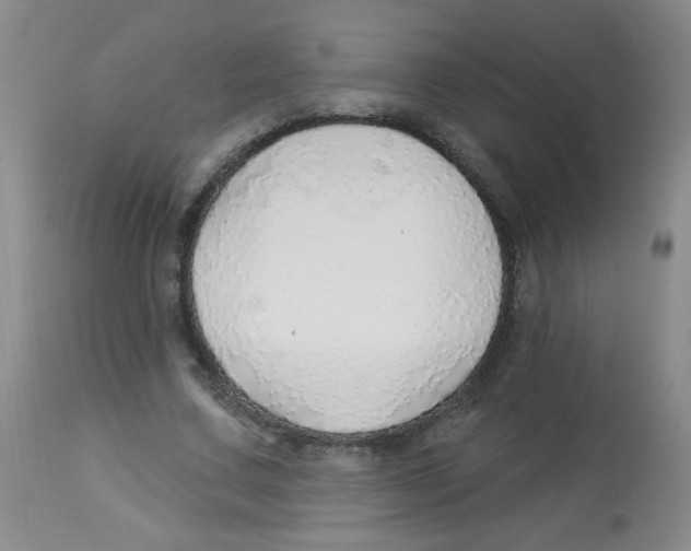 X0000113960683200910232029