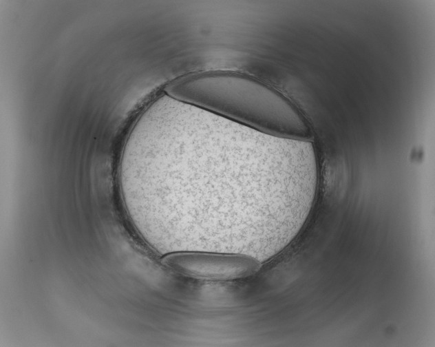 X0000113960684200910232029