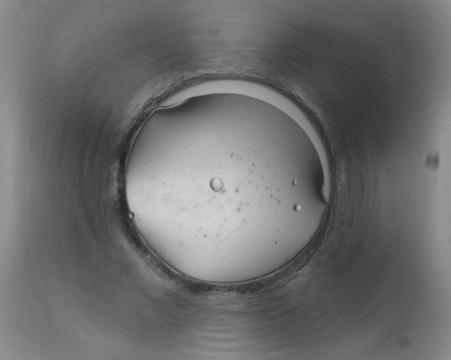 X0000113960685200910232029