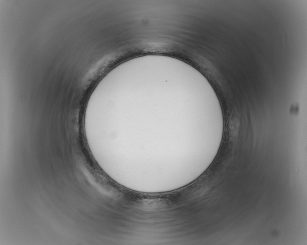 X0000113960686200910232029