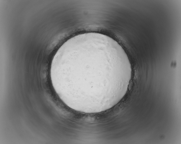 X0000113960687200910232029