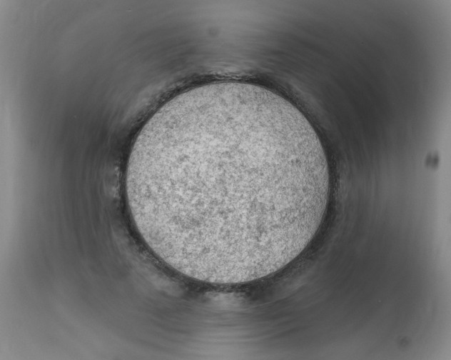 X0000113960689200910232029