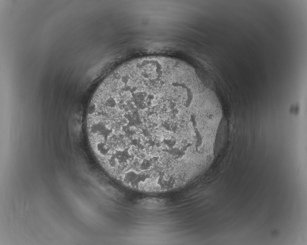 X0000113960691200910232029