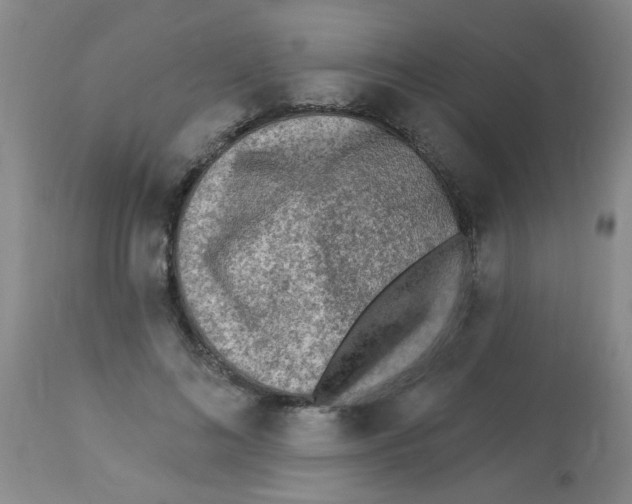 X0000113960692200910232029