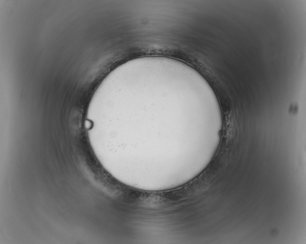 X0000113960695200910232029