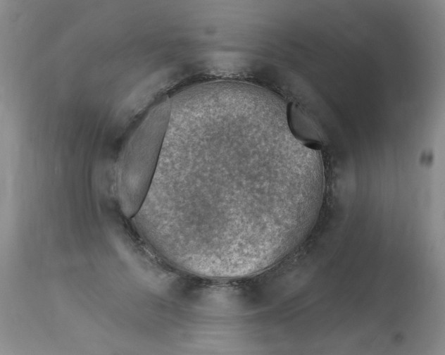 X0000113960696200910232029