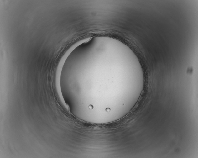 X0000113960697200910232029