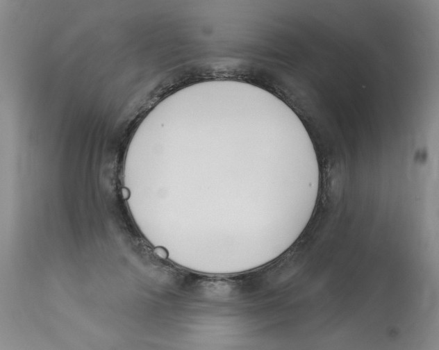 X0000113960698200910232029