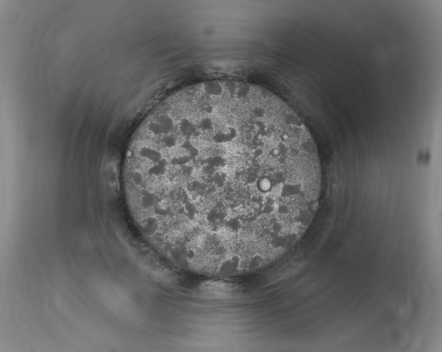 X0000113960699200910232029