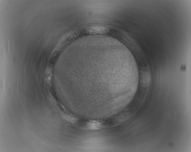 X0000113960701200910232029