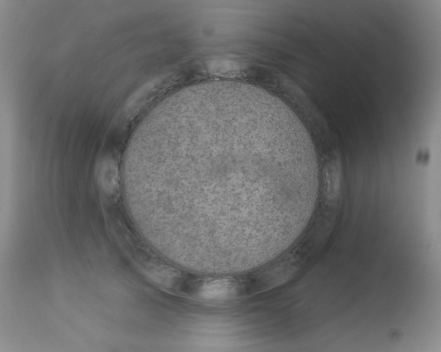 X0000113960705200910232029