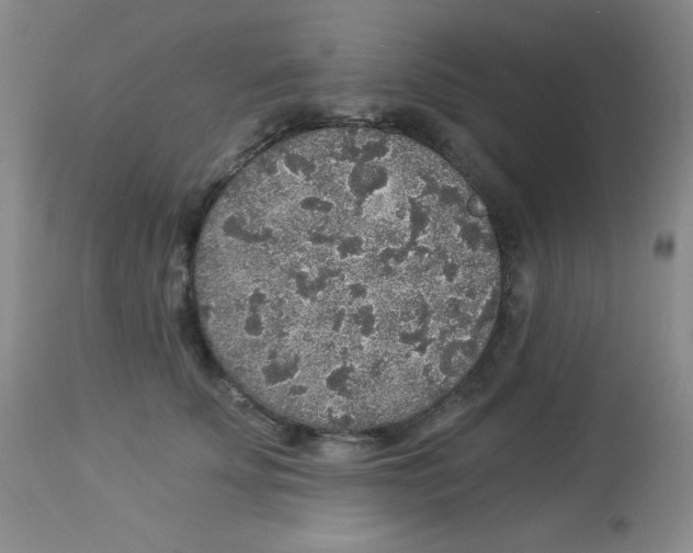 X0000113960707200910232029