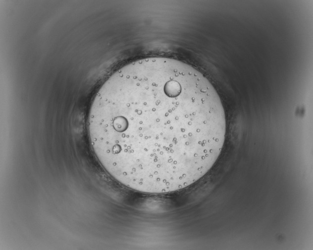 X0000113960708200910232029