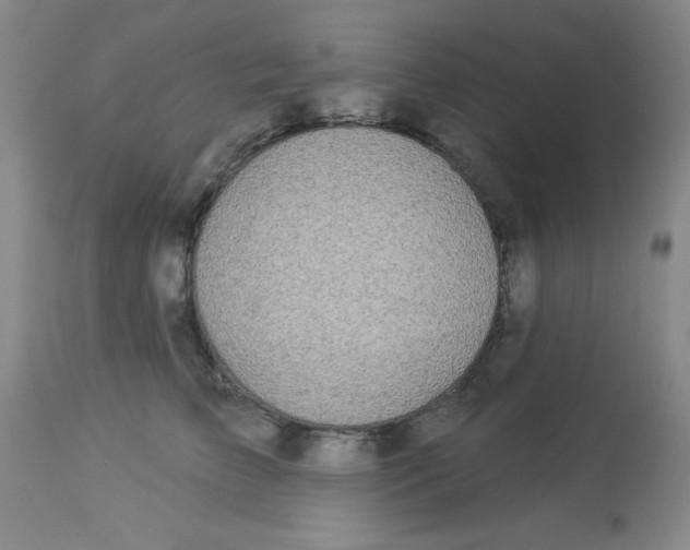 X0000113960709200910232029