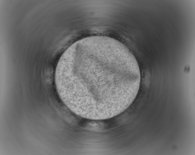 X0000113960712200910232029