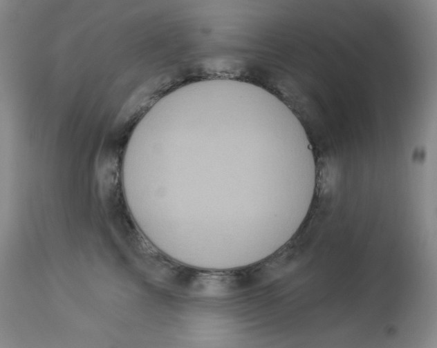 X0000113960713200910232028