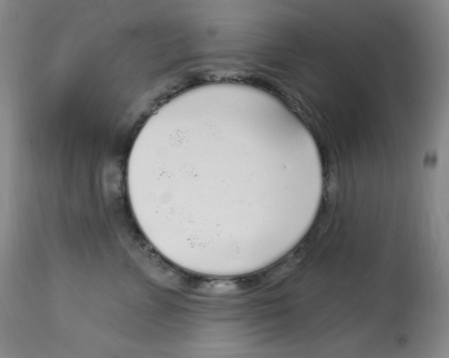 X0000113960715200910232028