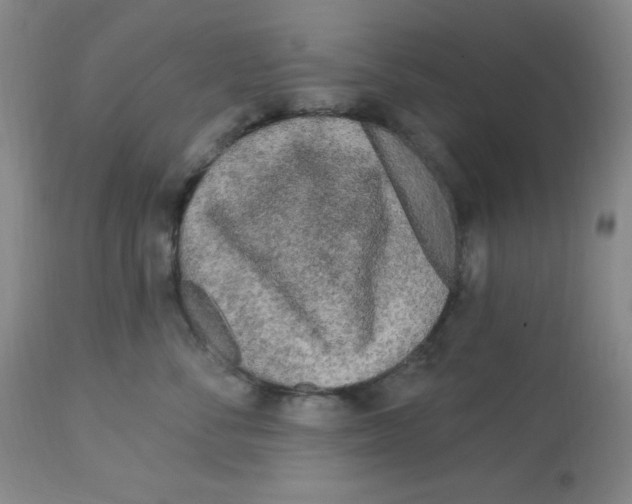 X0000113960716200910232028