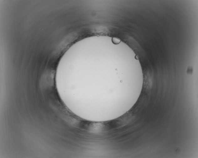 X0000113960717200910232028