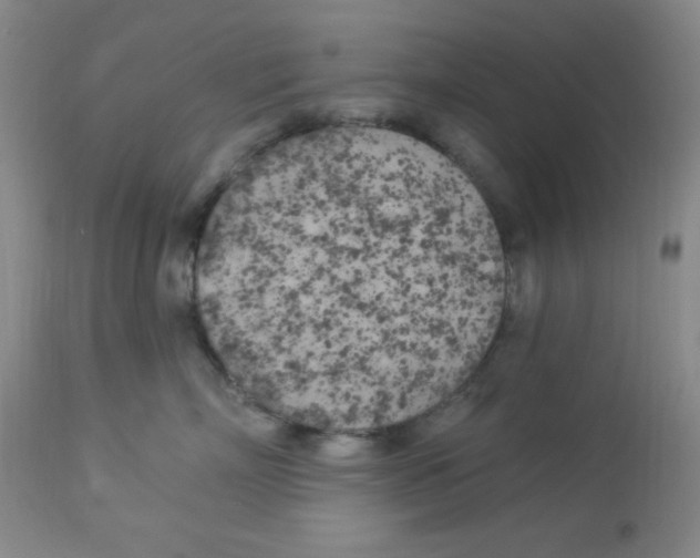 X0000113960718200910232028