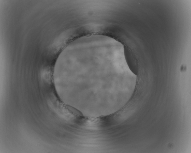 X0000113960720200910232028