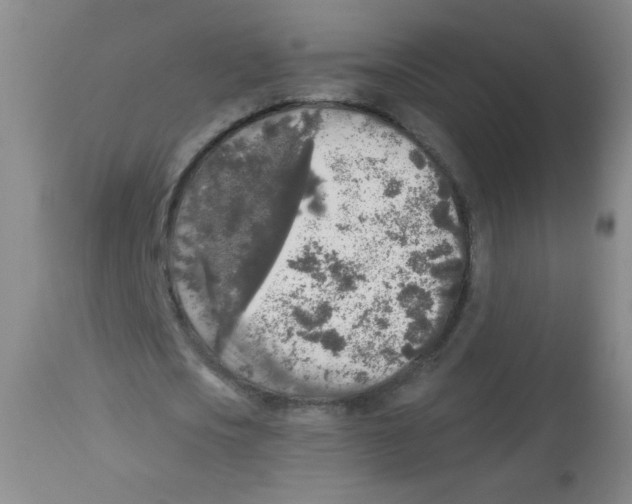 X0000113960721200910232028