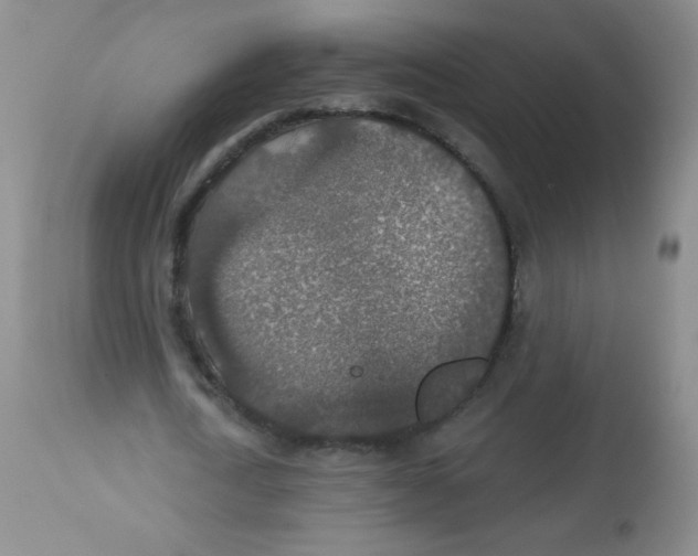 X0000113960722200910232028