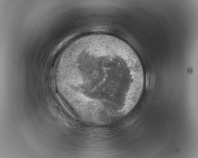 X0000113960723200910232028