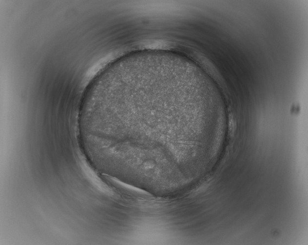 X0000113960725200910232028