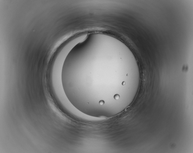 X0000113960726200910232028