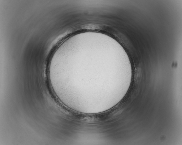 X0000113960727200910232028