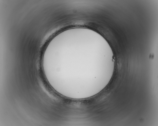 X0000113960728200910232028