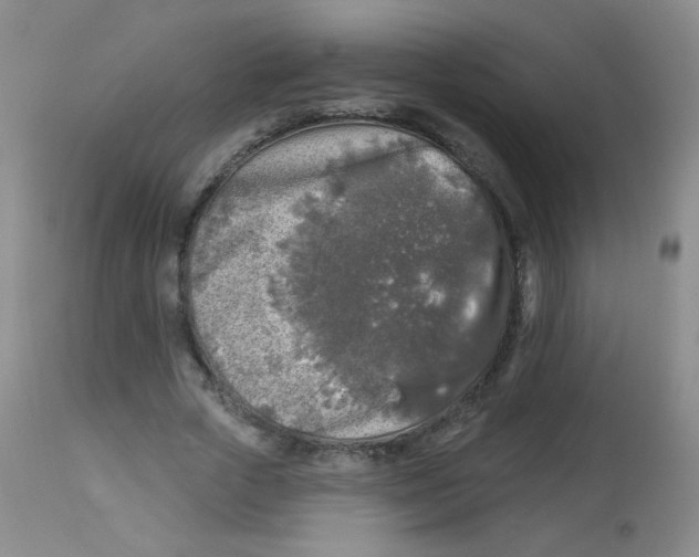 X0000113960729200910232028