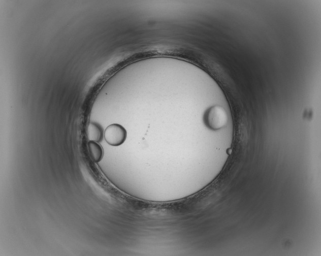 X0000113960730200910232028