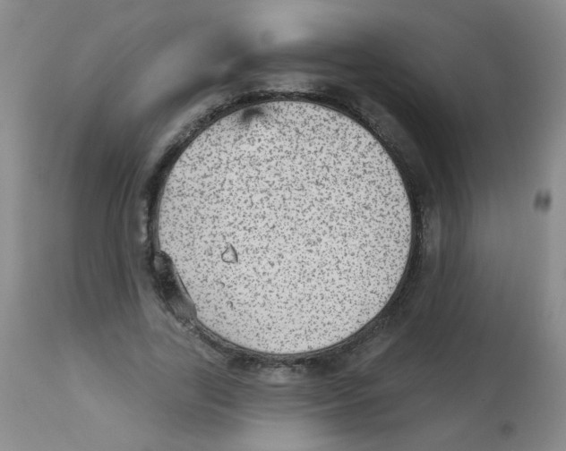 X0000113960731200910232028