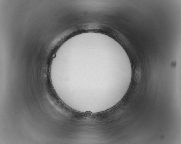 X0000113960732200910232028